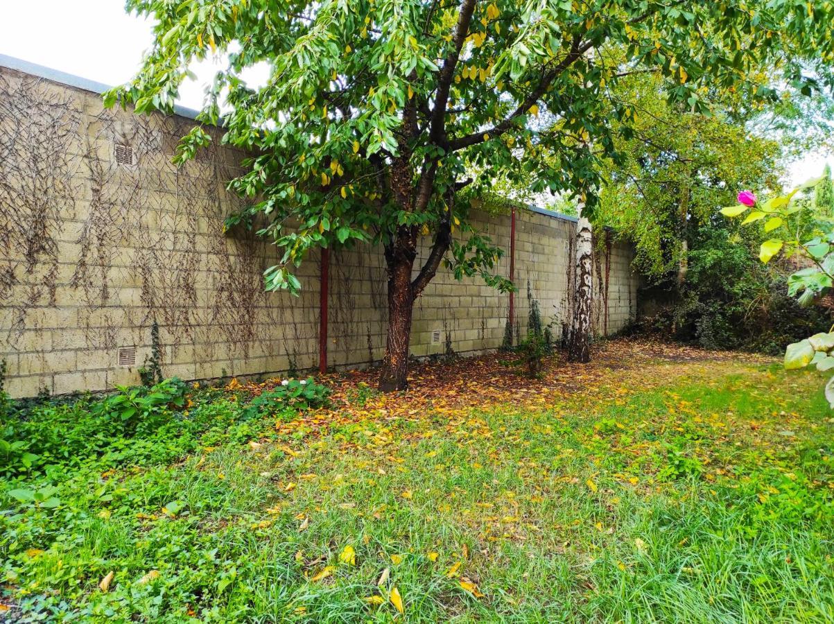 Maison Avec Jardin En Centre Ville - Proche Gare Et Circuit 24H Du Mans Le Mans Dış mekan fotoğraf